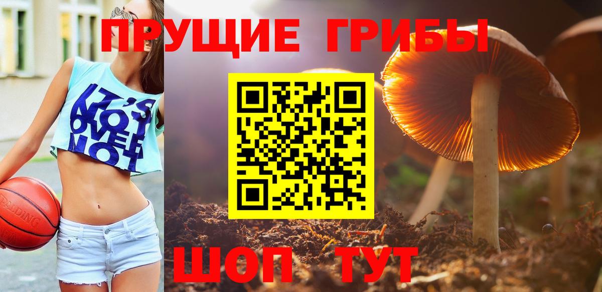 Кохма  Галлюциногенные грибы мухоморы  Вход с VPN 