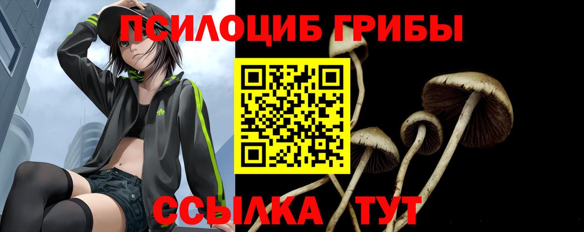 Псилоцибиновые грибы MAGIC MUSHROOMS Кохма